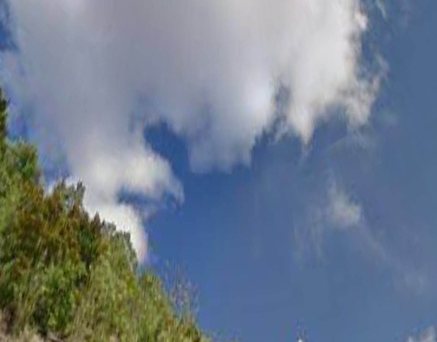 An abstract photograph of clouds against a blue sky. A lush green hill covered in trees takes up the bottom-left corner.